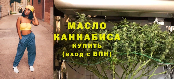 индика Переславль-Залесский