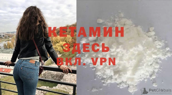 сатива Покачи