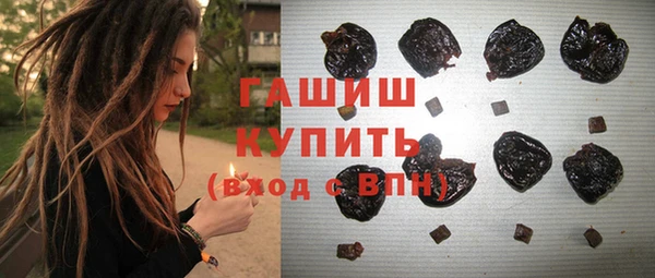 индика Переславль-Залесский