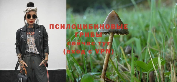 каннабис Покровск