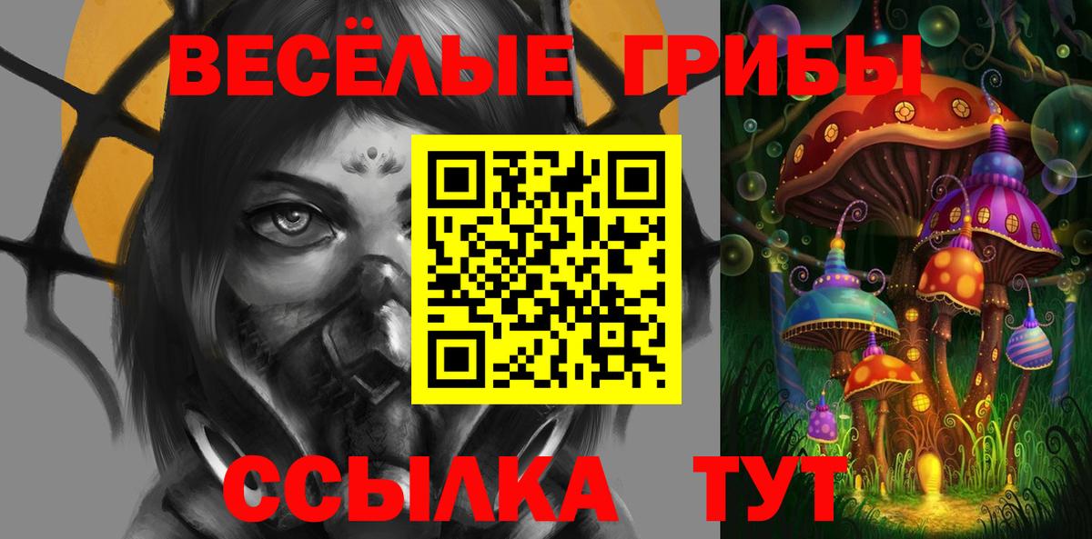 Псилоцибиновые грибы прущие грибы Мурманск