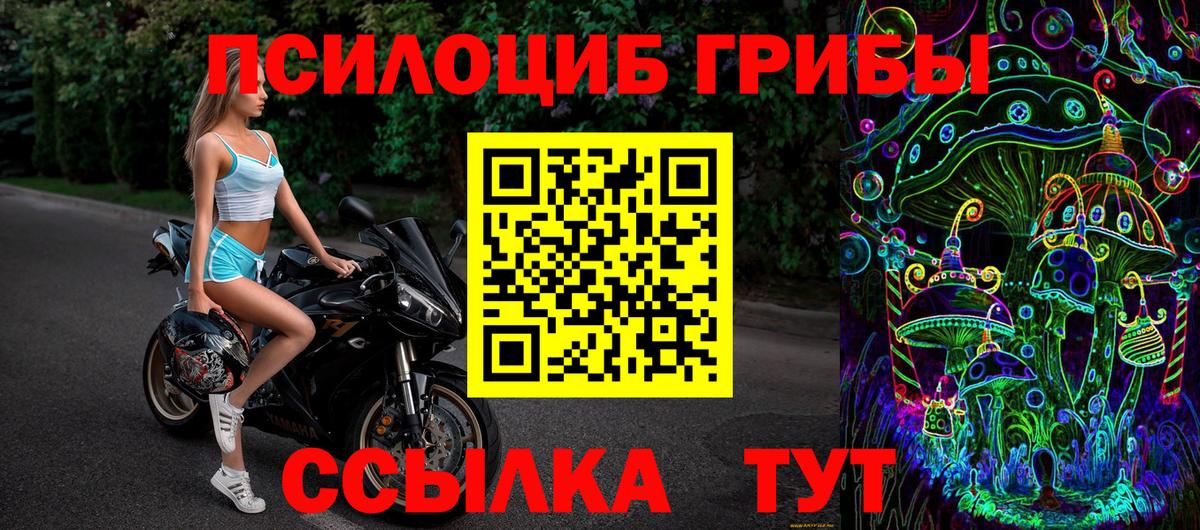 Мурманск  Псилоцибиновые грибы мухоморы  Псилоцибиновые грибы GOLDEN TEACHER  Вход с VPN 